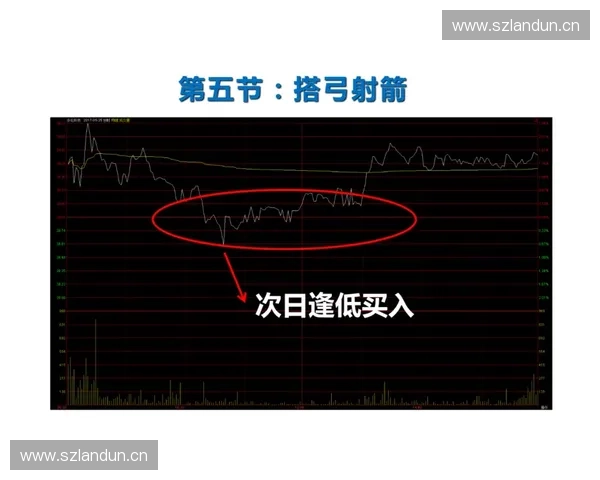 体育项目投资新机遇探析 如何通过精准布局提升收益与品牌价值