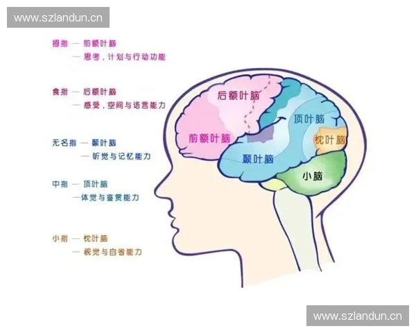 开阔视野提升认知能力探索未知世界的奥秘与人生的新机遇 开阔视野提升认知能力探索未知世界的奥秘与人生的新机遇