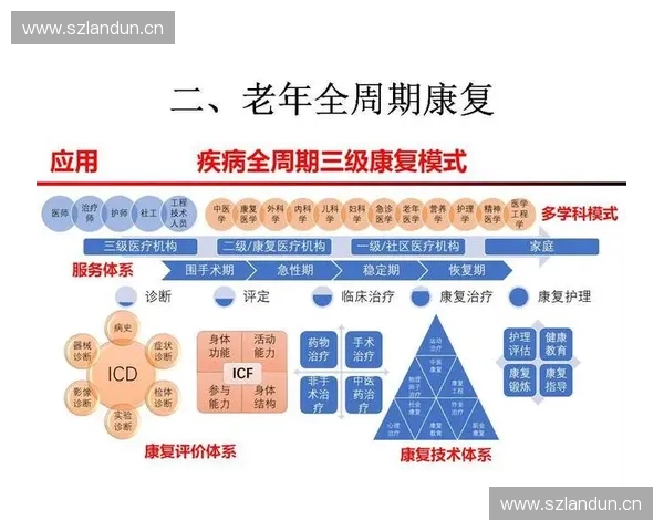 构建覆盖预防评估康复全周期的运动医学服务创新体系与健康促进模式研究